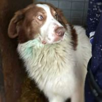 Lior tout jeune recherche sa famille pour la vie ! #2