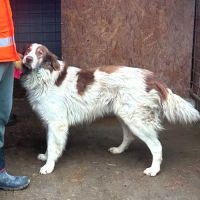 Lior tout jeune recherche sa famille pour la vie ! #3