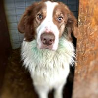 Lior tout jeune recherche sa famille pour la vie !