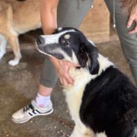 Paloma attend sa famille pour la vie !