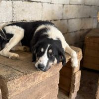 Paloma attend sa famille pour la vie ! #3