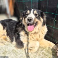 Paloma attend sa famille pour la vie !