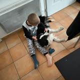 Chien odin à l adoption #3