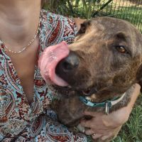 Haru abandonné il cherche sa nouvelle famille