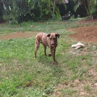 Haru abandonné il cherche sa nouvelle famille #10