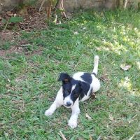 Vador l'adorable petit guerrier tripatte #7