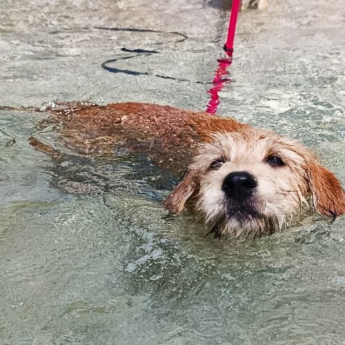 Youpi, bébé joyeux #5