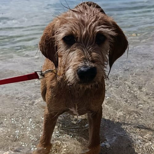 Youpi, bébé joyeux #6