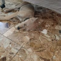 Youpi, bébé joyeux #4