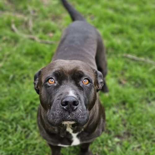 Paty, attends toujours en normandie #6