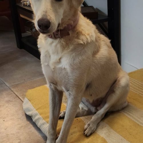 Suzie la belle et douce louloute #4