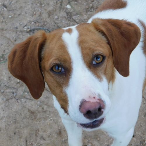 Lina🩷… votre future meilleure copine d’aventures