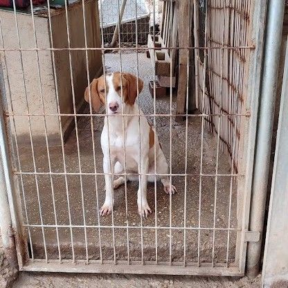 Lina🩷… votre future meilleure copine d’aventures #3