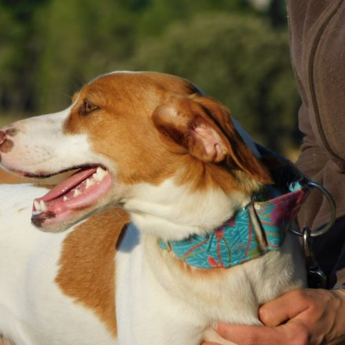 Lina🩷… votre future meilleure copine d’aventures #5