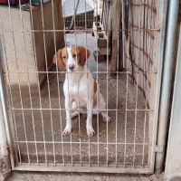 Lina🩷… votre future meilleure copine d’aventures #3