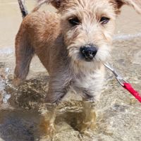 Noisette, j'adore les câlins #3