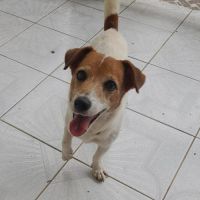 Rudy la boule d'énergie #4