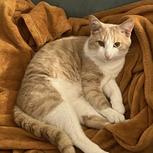 Azraël :  un vrai pot de colle !  #2