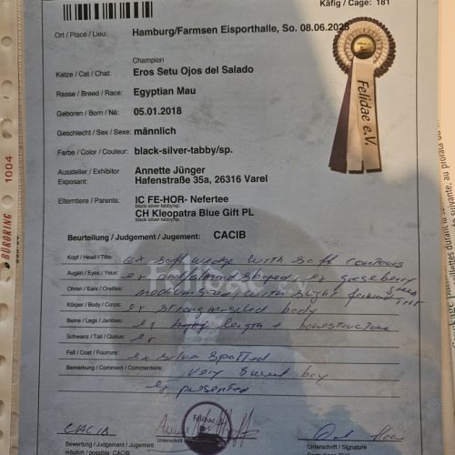 Etalon mau egyptien black silver #2