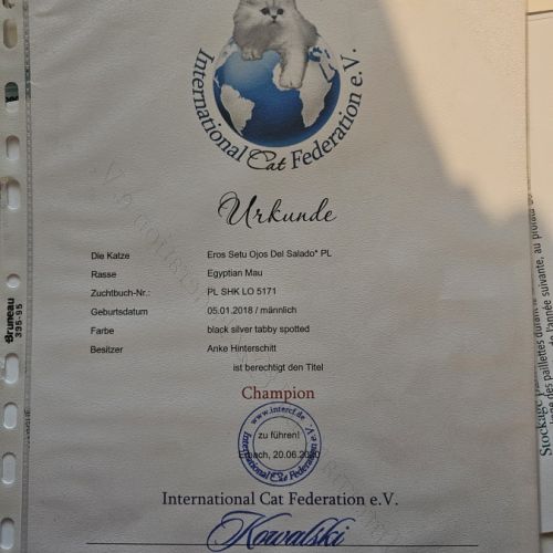 Etalon mau egyptien black silver #3