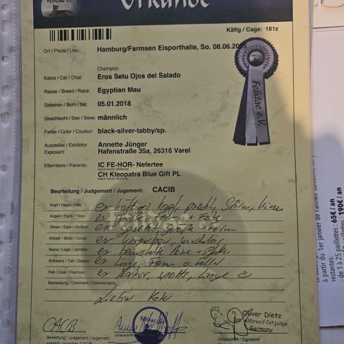 Etalon mau egyptien black silver #4