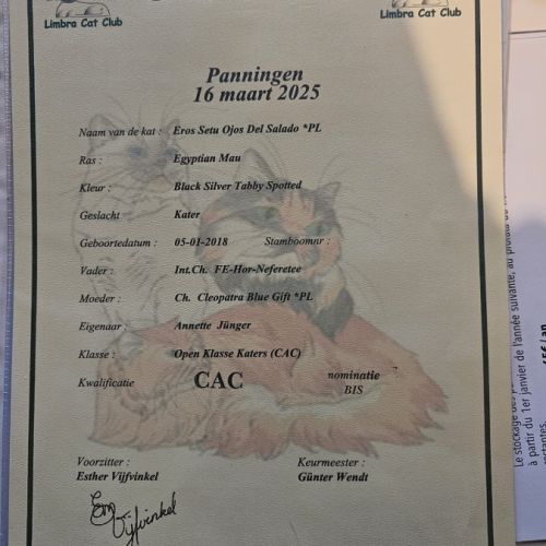 Etalon mau egyptien black silver #6