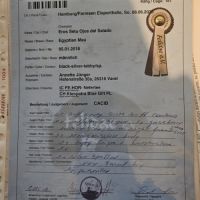 Etalon mau egyptien black silver #2