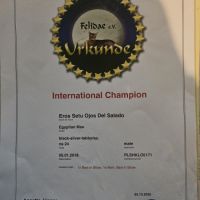 Etalon mau egyptien black silver #5