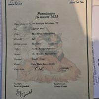 Etalon mau egyptien black silver #6