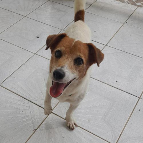 Rudy la boule d'énergie #4