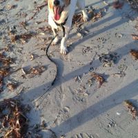 Rudy la boule d'énergie #1