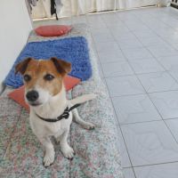 Rudy la boule d'énergie #2