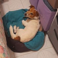 Rudy la boule d'énergie #5