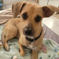 Perle le bijou des îles #0