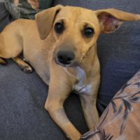 Perle le bijou des îles #3