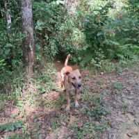 Aïko la douceur des îles #2