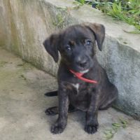 Boo l'exploratrice #0