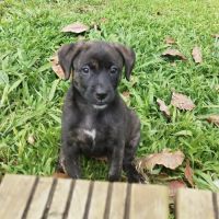 Boo l'exploratrice #6