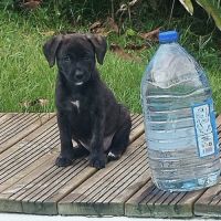 Boo l'exploratrice #7