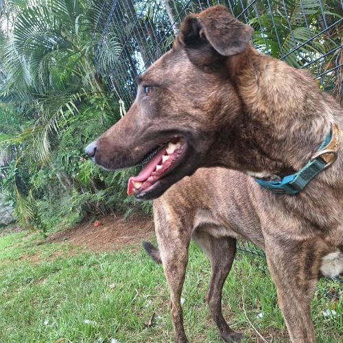 Haru abandonné cherche sa nouvelle famille #4