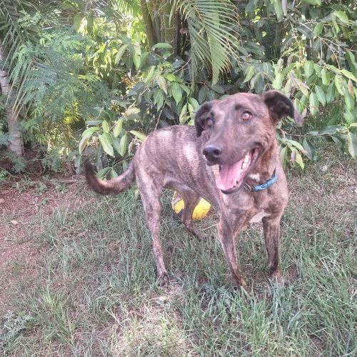 Haru abandonné cherche sa nouvelle famille #5