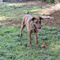 Haru abandonné cherche sa nouvelle famille #3