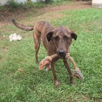 Haru abandonné cherche sa nouvelle famille #8