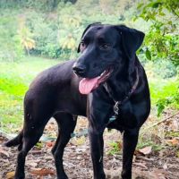 Taormine ✨️ 🐶 #0