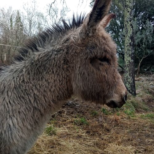 Anon de provence 6 mois #2