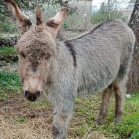 Anon de provence 6 mois #0