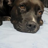 Paty désespère de trouver sa famille #1