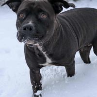 Paty désespère de trouver sa famille #2