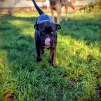 Paty désespère de trouver sa famille #4