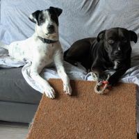 Paty désespère de trouver sa famille #8